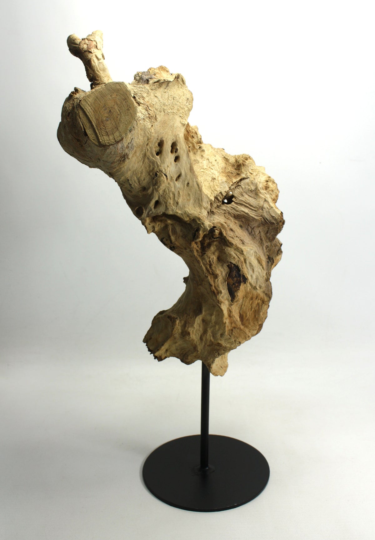 Driftwood sculpture, Approx 42cm high, CT650