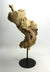 Driftwood sculpture, Approx 42cm high, CT650