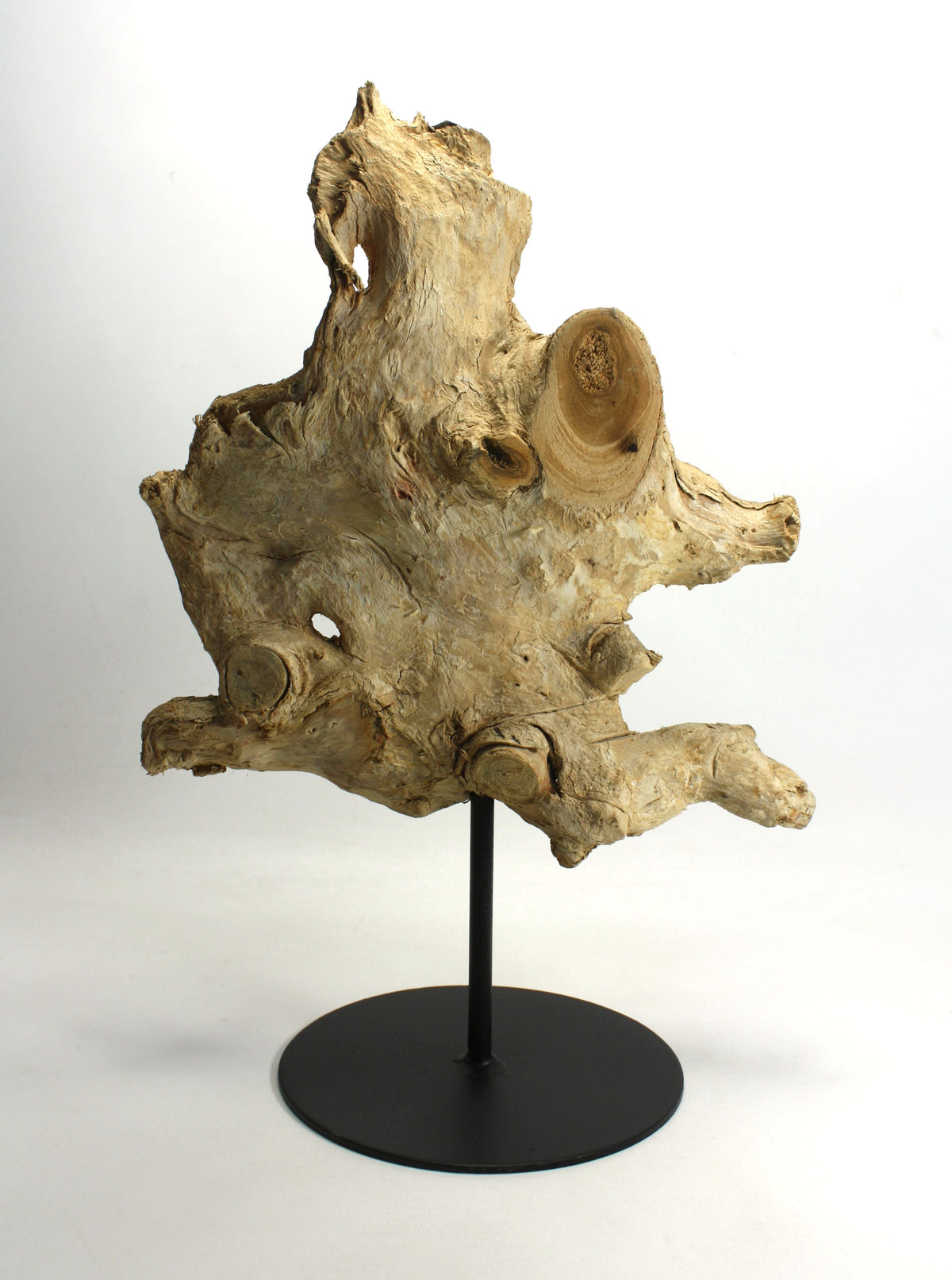 Driftwood sculpture, Approx 37cm high, CT651