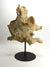 Driftwood sculpture, Approx 37cm high, CT651