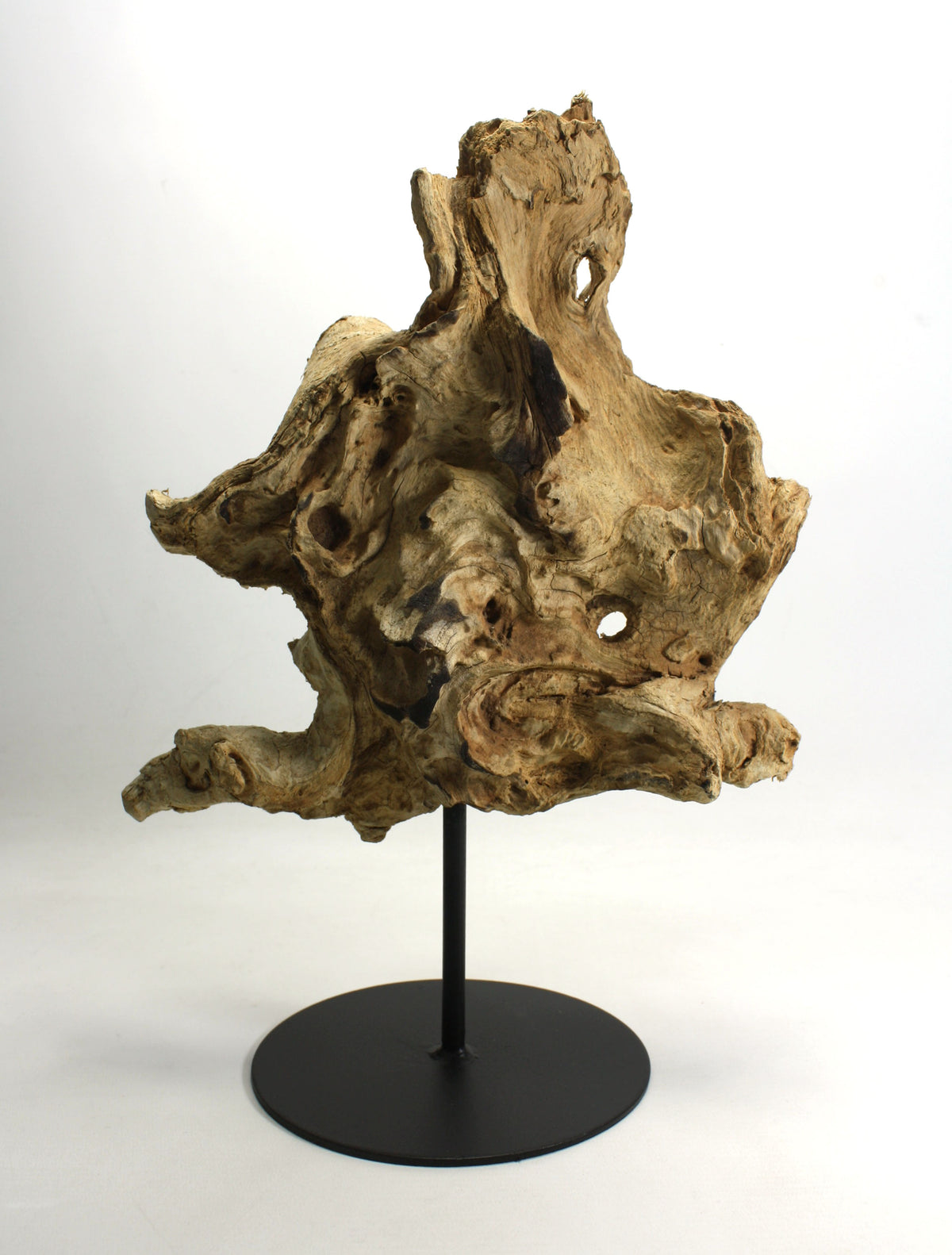 Driftwood sculpture, Approx 37cm high, CT651