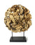 Driftwood sculpture, Approx 55cm high, BT04B - farangshop-co
