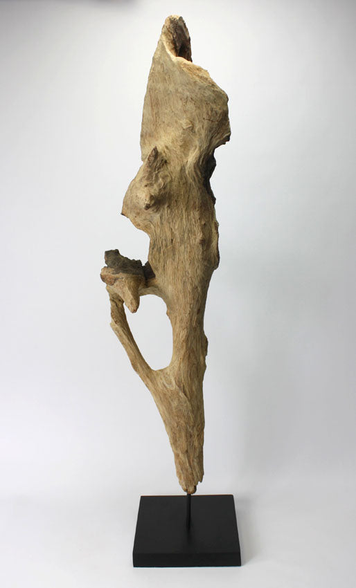 Driftwood sculpture, Approx 100cm high, INB11 - farangshop-co
