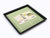 Japanese Lacquer Buckwheat Soba Noodle Tray - farangshop-co