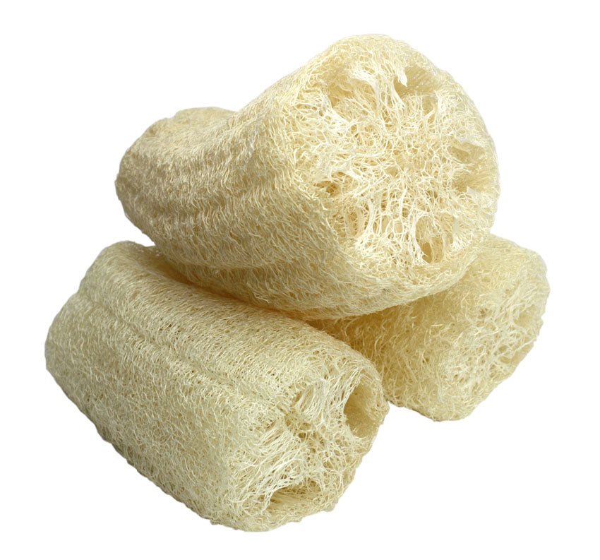 Thai Loofah - in different sizes - available in singles or multipacks - farangshop-co
