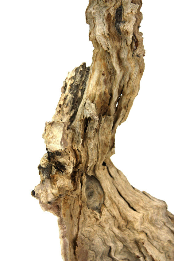 Driftwood sculpture, 81cm high - farangshop-co