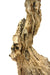 Driftwood sculpture, 81cm high - farangshop-co