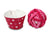 Boxed Cupcake Pack of 20 pieces of children's elasticated hair ties, Pink, by Moshi Moshi - farangshop-co