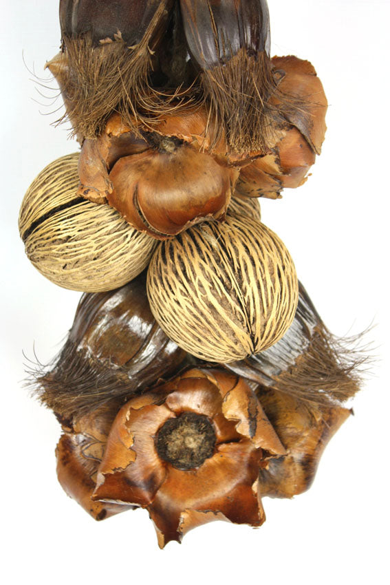 Huge Hanging Decorative Rope of Exotic Dried Seed Pods, 120cm long - farangshop-co