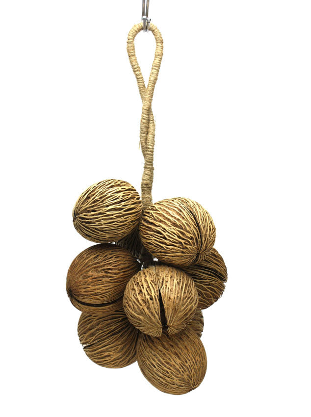 Hanging Decorative Rope of Exotic Dried Pong Pong Seed Pods, 38cm long - farangshop-co