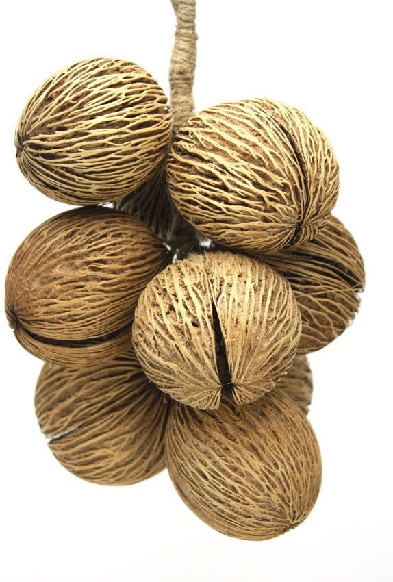Hanging Decorative Rope of Exotic Dried Pong Pong Seed Pods, 38cm long - farangshop-co