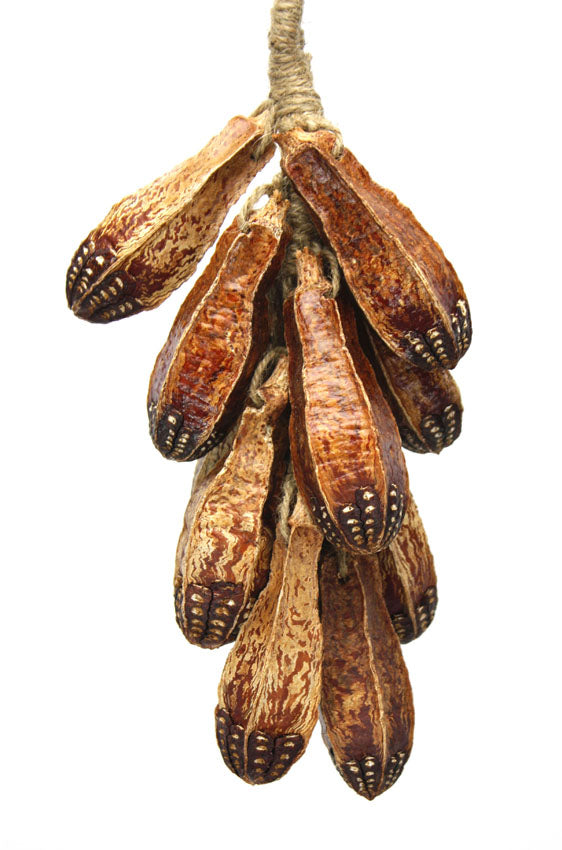 Hanging Decorative Rope of Exotic Mahogany Seed Pods, 35cm long - farangshop-co