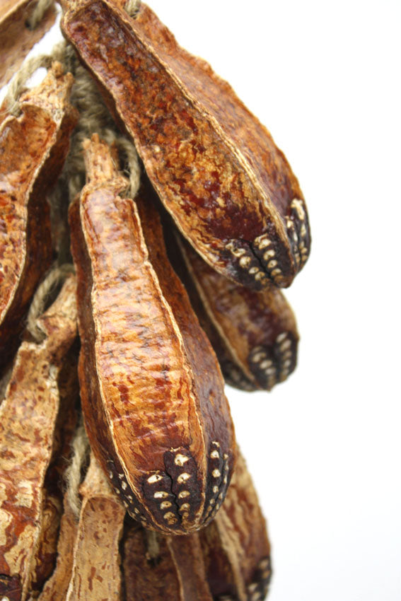 Hanging Decorative Rope of Exotic Mahogany Seed Pods, 35cm long - farangshop-co