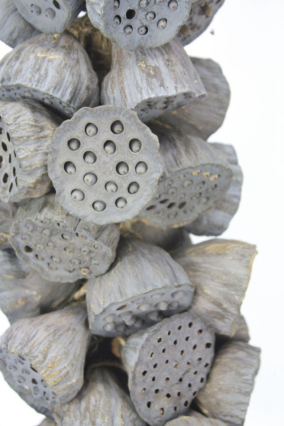 Hanging Decorative Rope of Exotic Dried Small Lotus Heads, 60cm long - farangshop-co