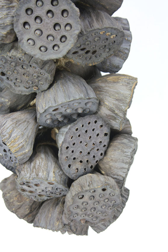 Hanging Decorative Rope of Exotic Dried Small Lotus Heads, 60cm long - farangshop-co