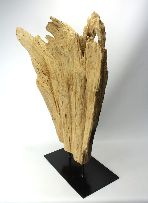 Driftwood sculpture, Approx 72cm high, BT15 - farangshop-co