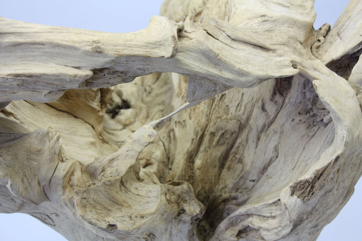 Driftwood sculpture, Approx 81cm high, BT37 - farangshop-co