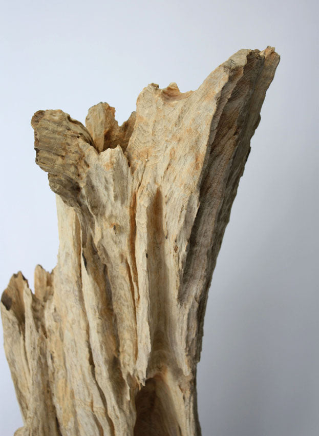 Driftwood sculpture, Approx 114cm high, CT38 - farangshop-co