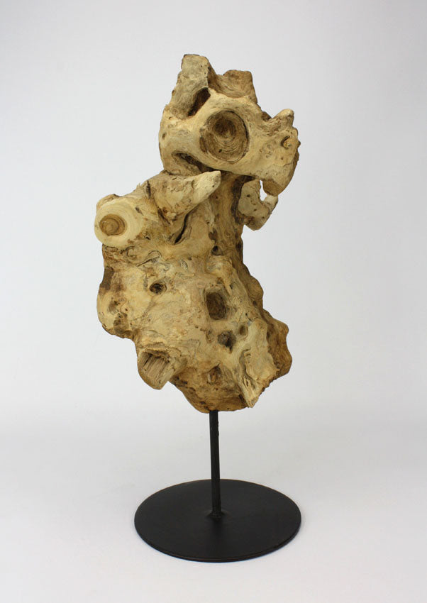 Driftwood sculpture, Approx 42cm high, BT615 - farangshop-co