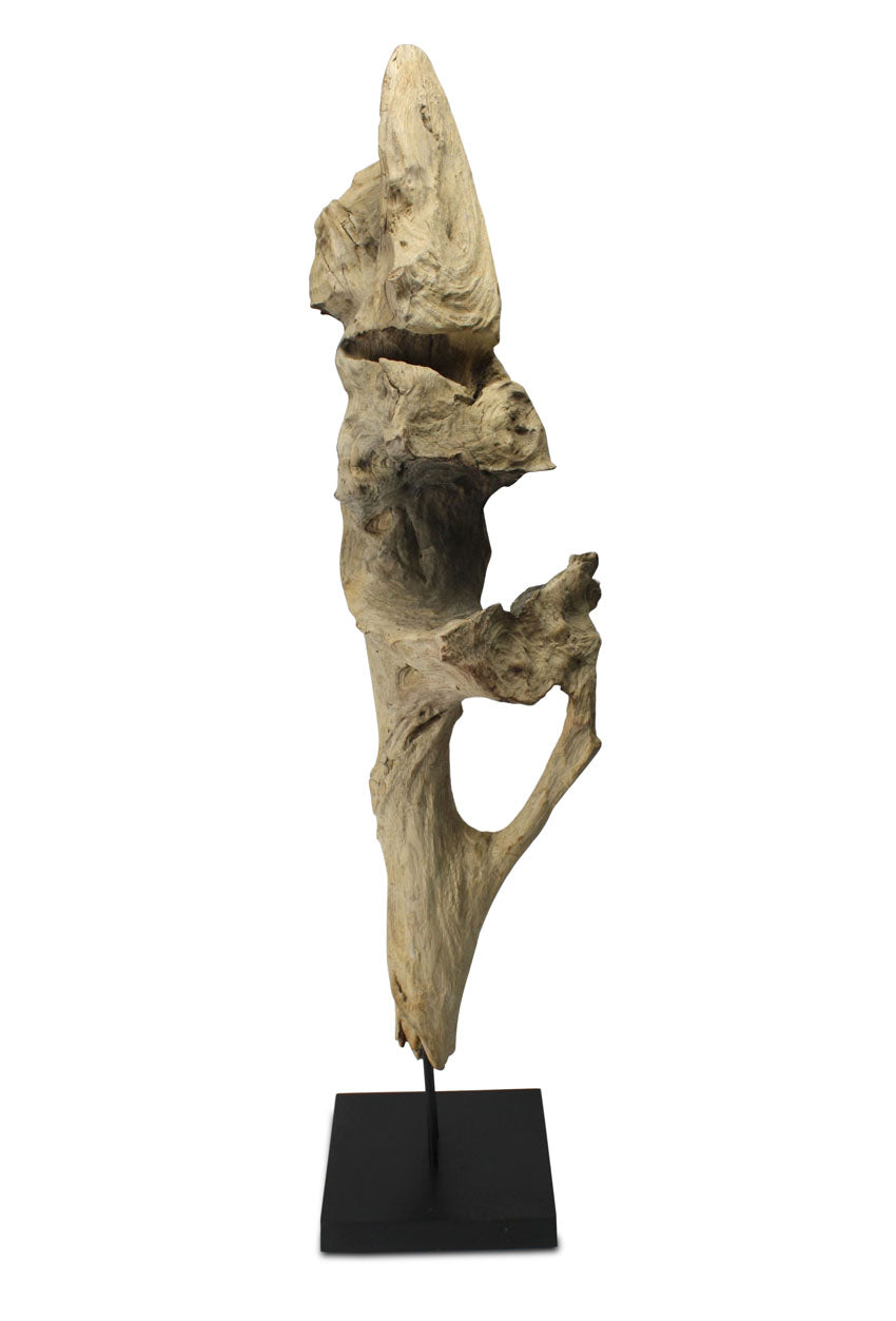 Driftwood sculpture, Approx 100cm high, INB11 - farangshop-co