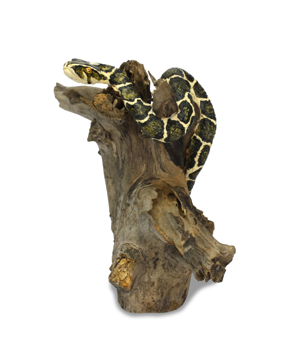 Handmade Snake Sculpture on Natural Wooden Tree Stand, Small 22-30cm Size - farangshop-co