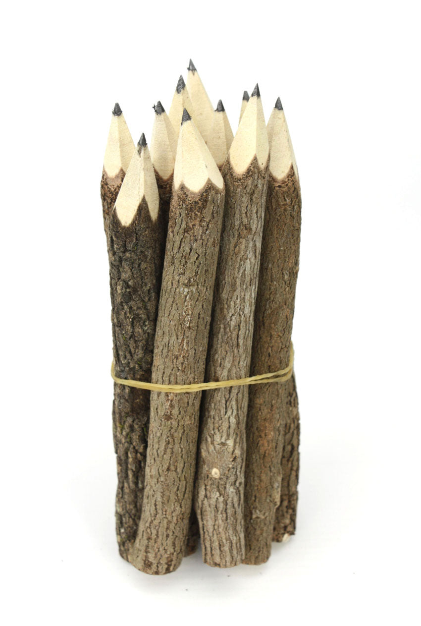 Tree Branch Twig Pencils Bundle (natural wood) - Medium Size 13cm (5 inch) - farangshop-co
