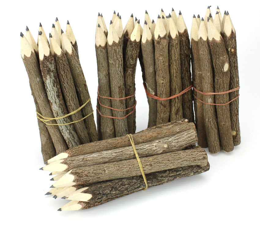 Tree Branch Twig Pencils Bundle (natural wood) - Medium Size 13cm (5 inch) - farangshop-co