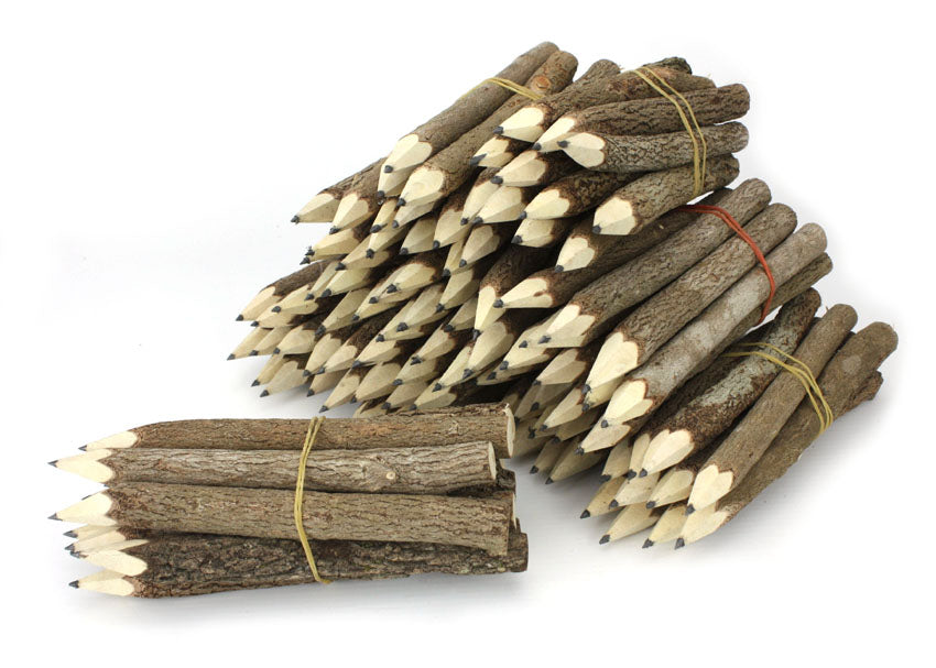 Tree Branch Twig Pencils Bundle (natural wood) - Medium Size 13cm (5 inch) - farangshop-co