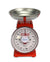 Thai Single Dial Weighing Scale, 1kg, Mechanical Steel Metal Scale - farangshop-co