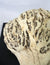 Wall mounted Thai burrwood - farangshop-co