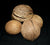 Pong pong tree seed pods, Thailand - individual pods or multipacks - farangshop-co