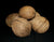 Pong pong tree seed pods, Thailand - individual pods or multipacks - farangshop-co